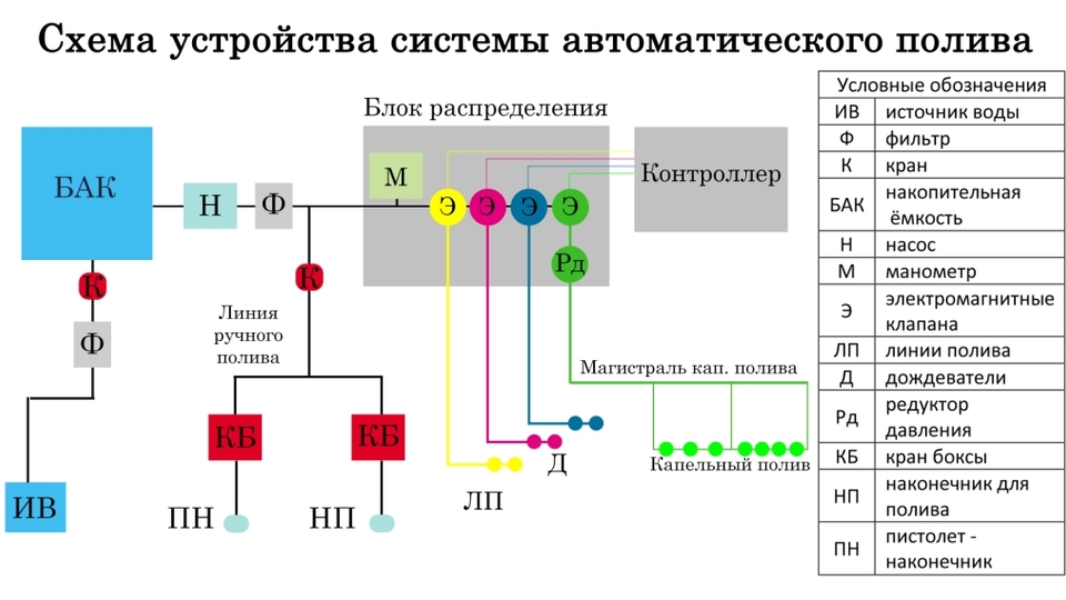 Схема устройства системы автоматического полива