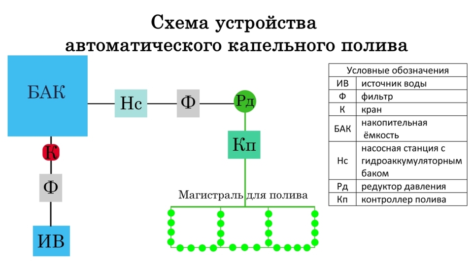 Схема устройства автоматического капельного полива